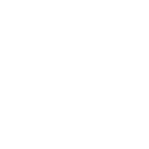 Intalion Microsoft Gold Partner