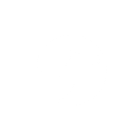 Camel Logo - Intalion